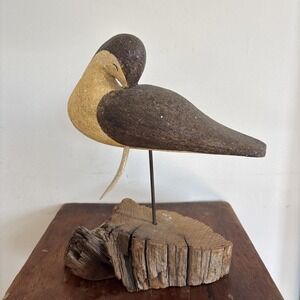 Richard Morgan Coastal Shore Bird On Driftwood Resting Beak Poking Thru Signed